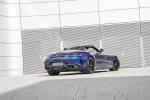 Mercedes-AMG GT C Roadster 2019 года (WW)